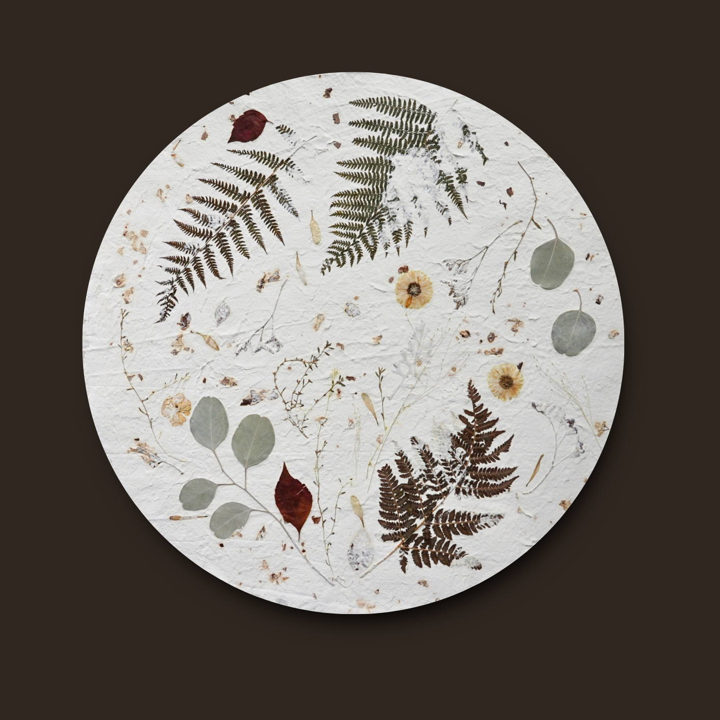 Nudiflorum R55/04 full circular botanical composition without frame against dark background — pressed ferns and mixed meadow botanicals on white textured ground