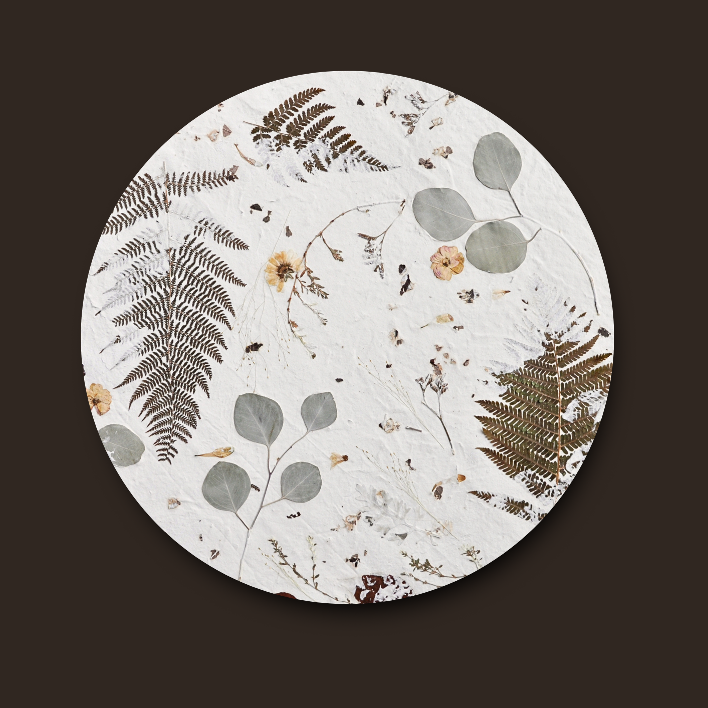 Nudiflorum R55/06 full circular botanical composition without frame against dark background — pressed ferns and mixed meadow botanicals on white textured ground