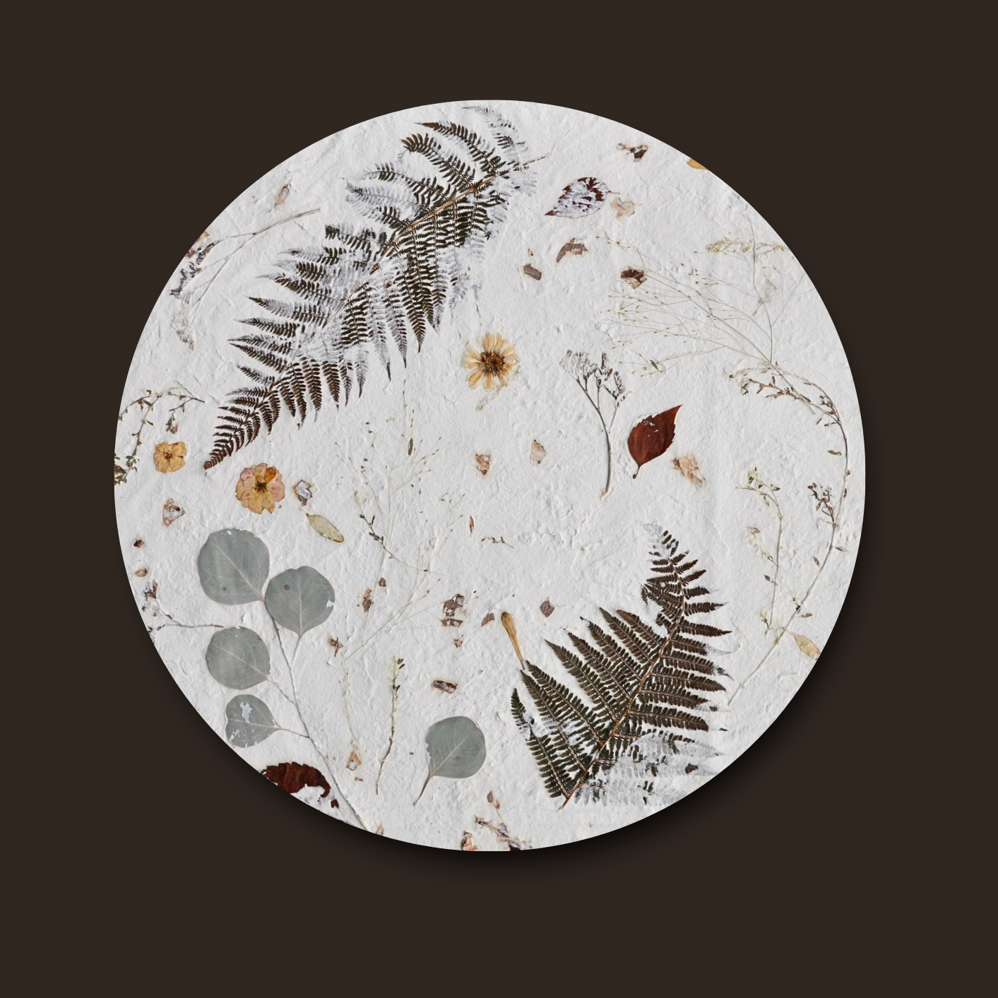 Nudiflorum R55/08 full circular botanical composition without frame against dark background — pressed ferns and mixed meadow botanicals on white textured ground