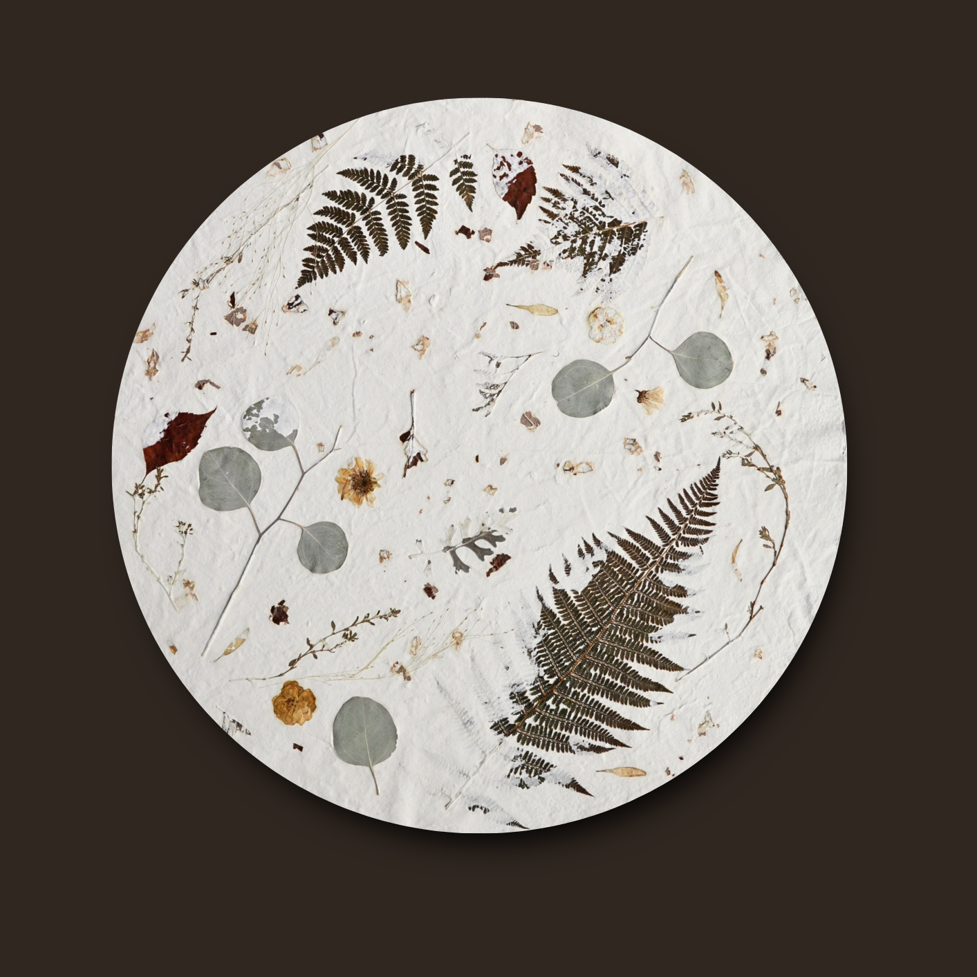 Nudiflorum R55/03 full circular botanical composition without frame against dark background — pressed ferns, eucalyptus and meadow botanicals on white textured ground