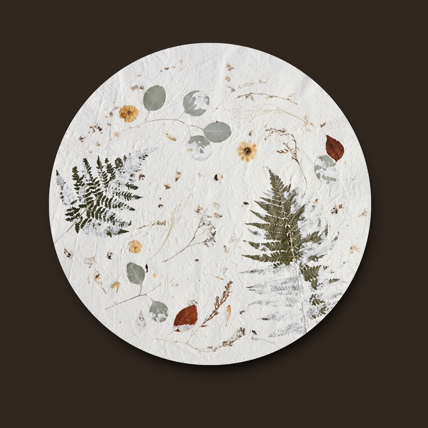 Nudiflorum R55/05 full circular botanical composition without frame against dark background — pressed ferns and mixed meadow botanicals on white textured ground