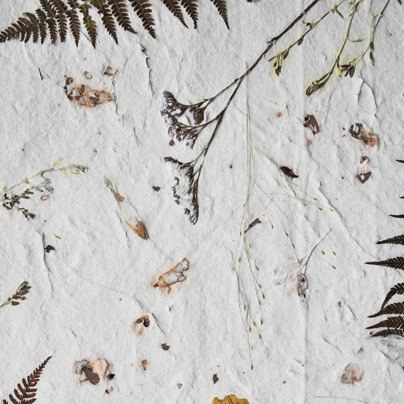 A close-up of the Nudiflorum R55/07 pattern, featuring branched meadow stems, Switchgrass and Sea Lavender on a textured white background