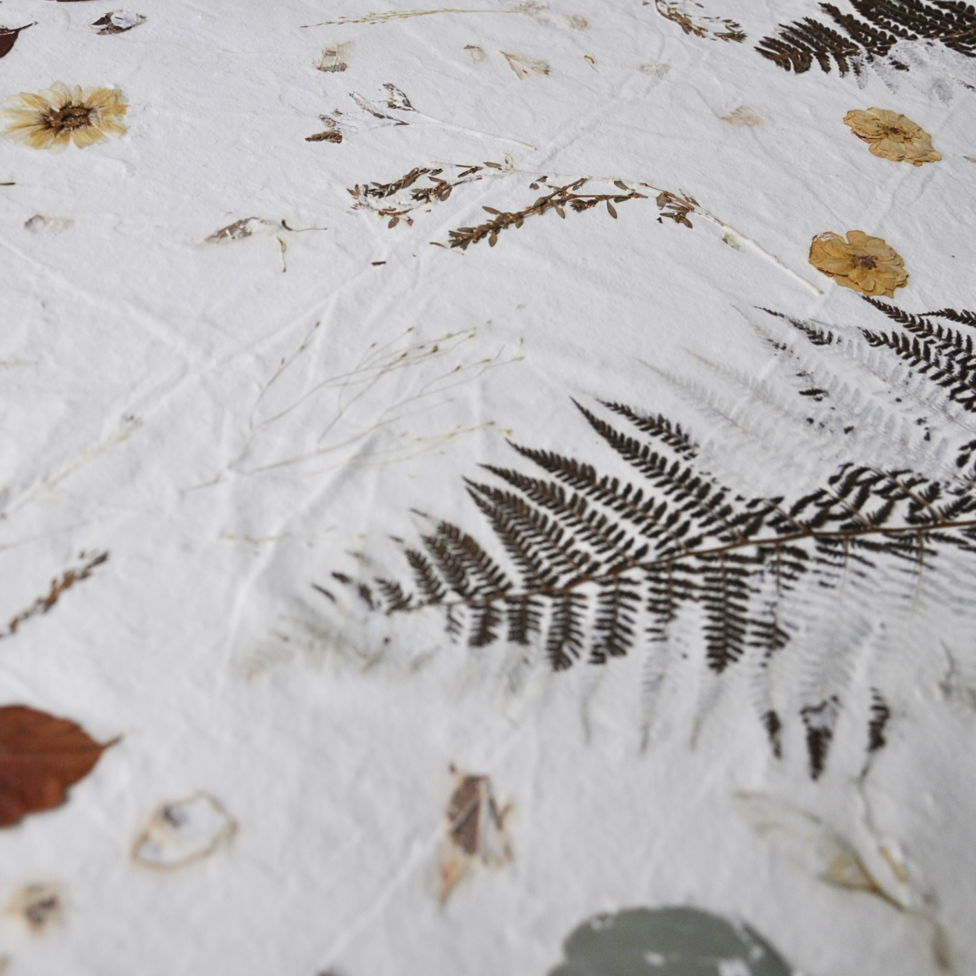 Detail of Nudiflorum R55/01 surface — pressed fern fronds, dried marigold-type flowers, autumn leaves in red and rust, and branching meadow stems across white textured ground
relief