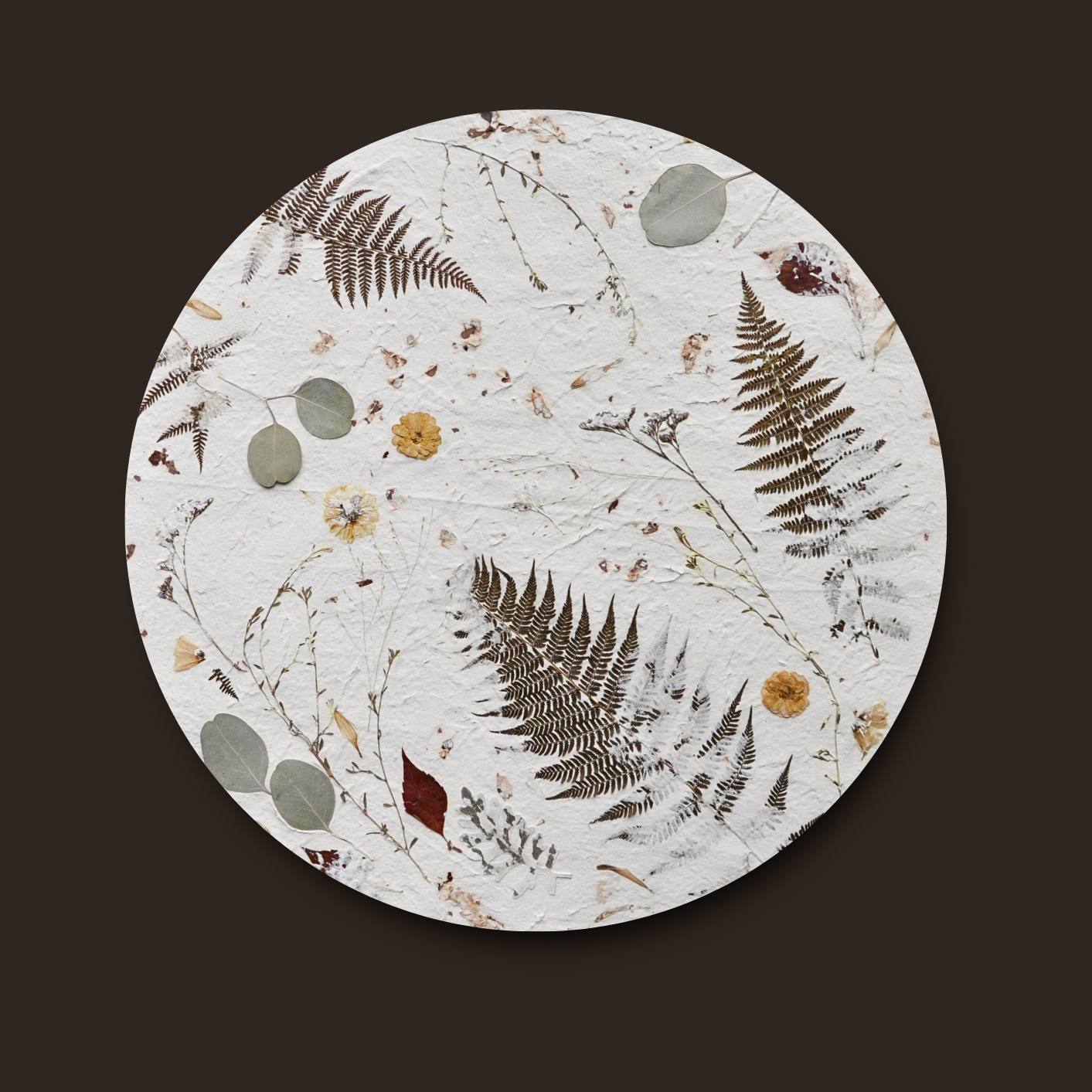 Nudiflorum R55/07 full circular botanical composition without frame against dark background — pressed ferns and mixed meadow botanicals on white textured ground