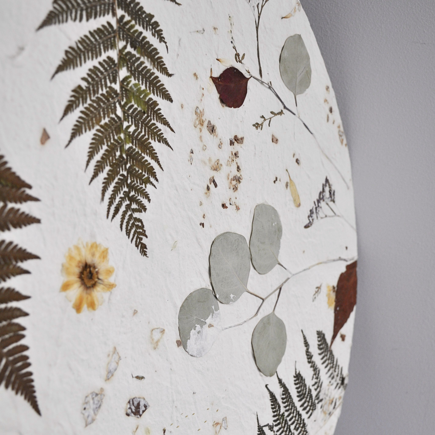 Close-up of sage green eucalyptus leaves, fine pressed ferns and autumn leaves on white textured paper, detail from Nudiflorum R55/09