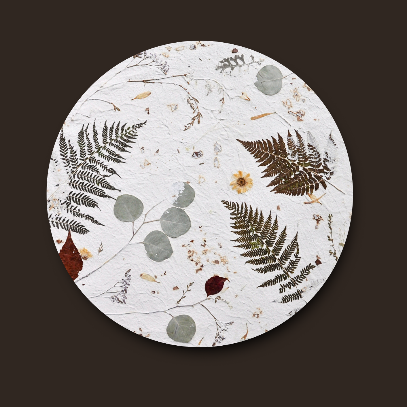 Nudiflorum R55/09 full circular botanical composition without frame against dark background — pressed ferns and mixed meadow botanicals on white textured ground