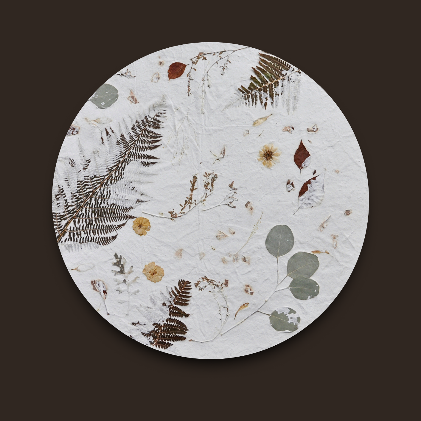 Nudiflorum R55/01 full circular composition without frame against dark background — complete arrangement of pressed botanicals on white textured ground visible edge to edge