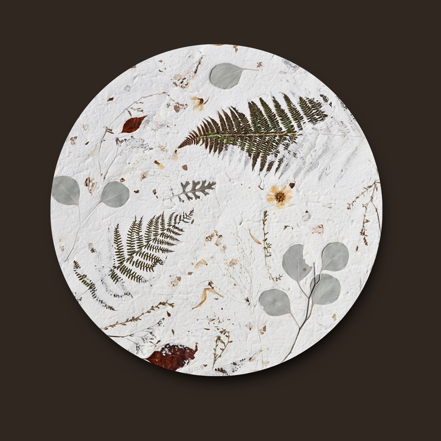 Nudiflorum R55/10 full circular botanical composition without frame against dark background — pressed ferns and mixed meadow botanicals on white textured ground