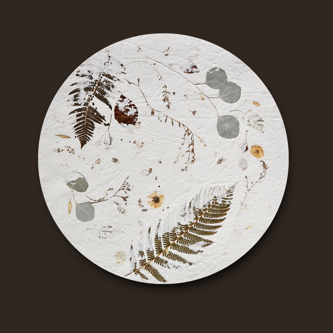 Nudiflorum R55/02 full circular composition without frame against dark background — diagonal fern sweep, eucalyptus cluster and scattered meadow botanicals on white textured ground