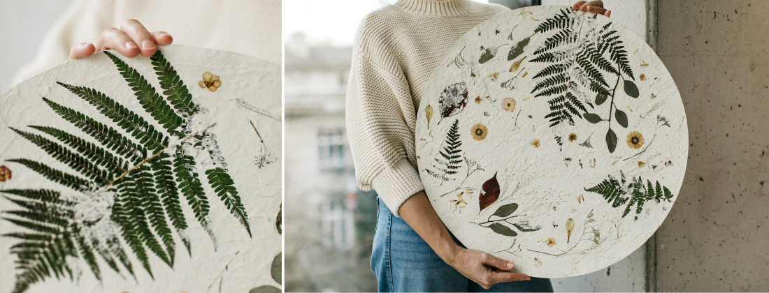 Nudiflorum R55 collection botanical wall art — circular pressed plant composition in an interior setting, by Joanna Jernajczyk