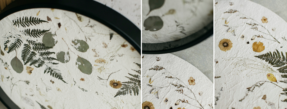 Close-up detail of pressed botanical composition on white textured ground, Nudiflorum studio by Joanna Jernajczyk